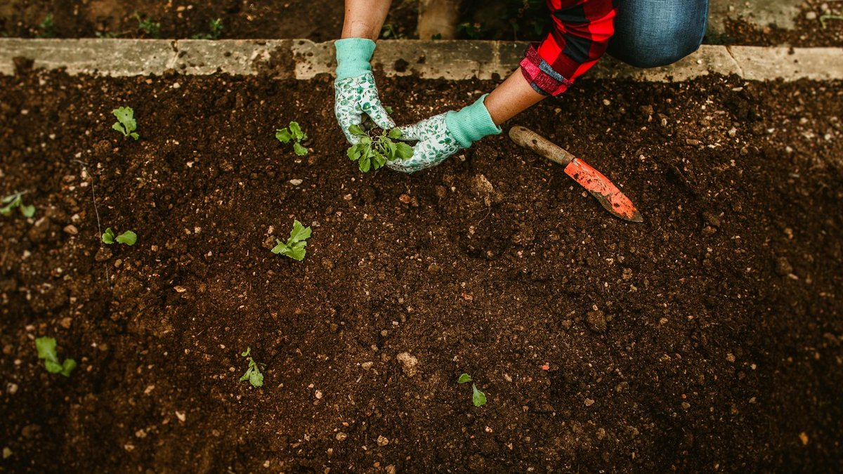 garden soil mix