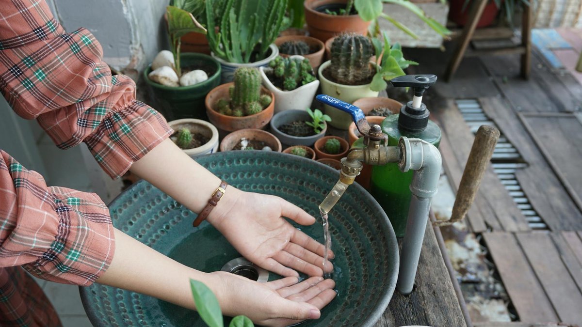 garden winter hygiene