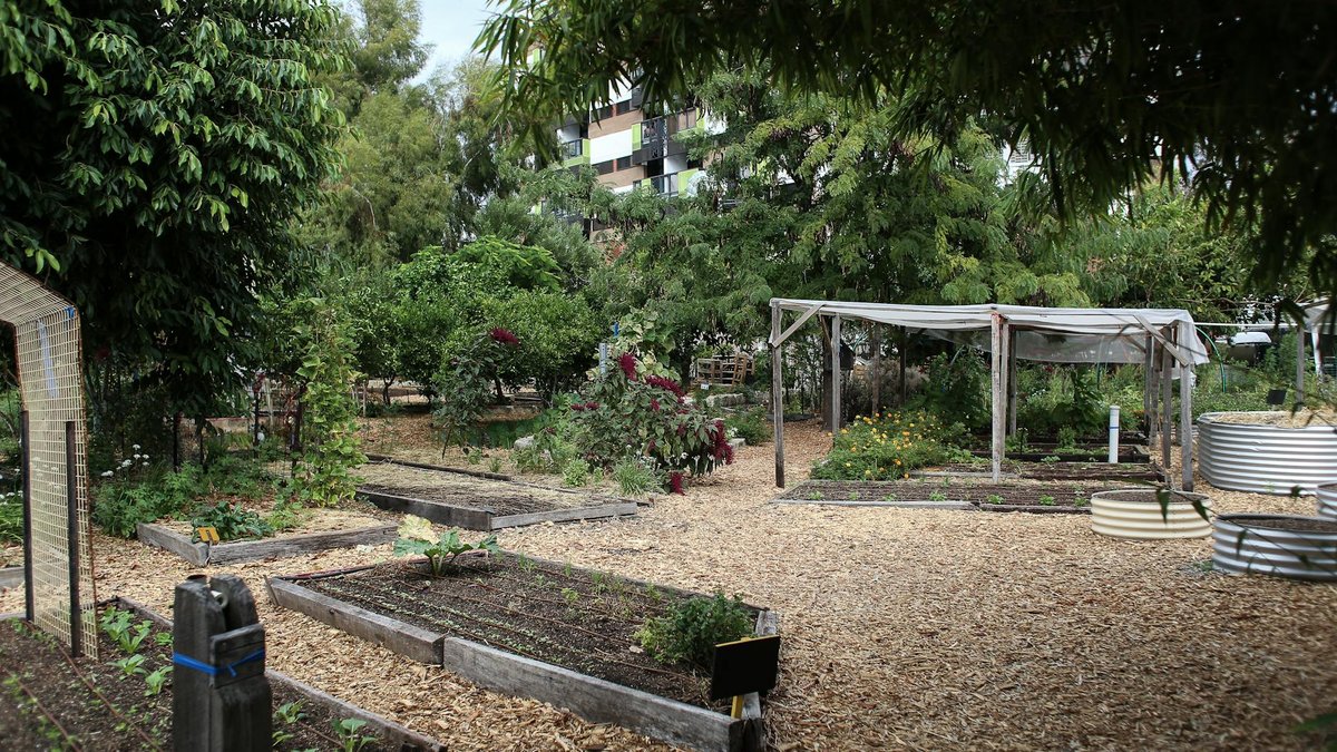 garden spacing