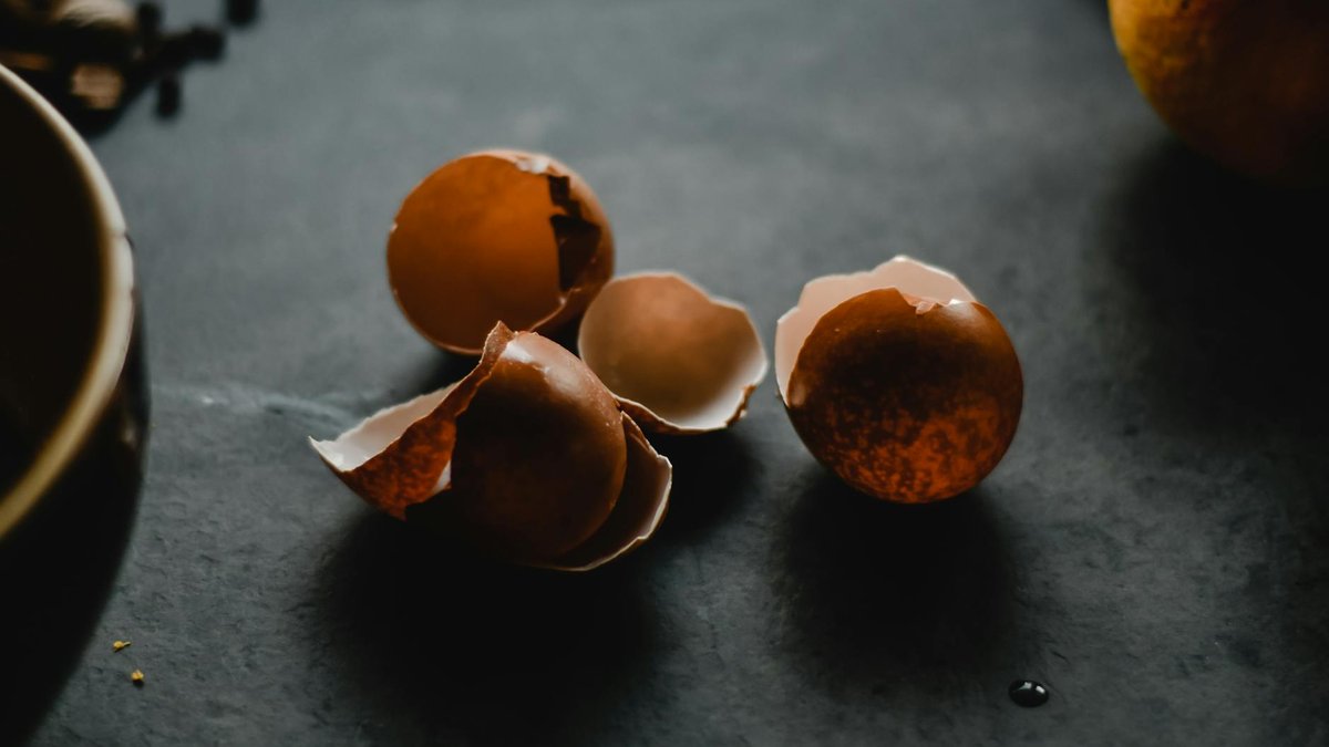 eggshells pest risk