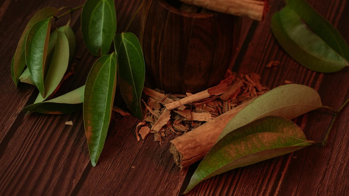 cinnamon antifungal