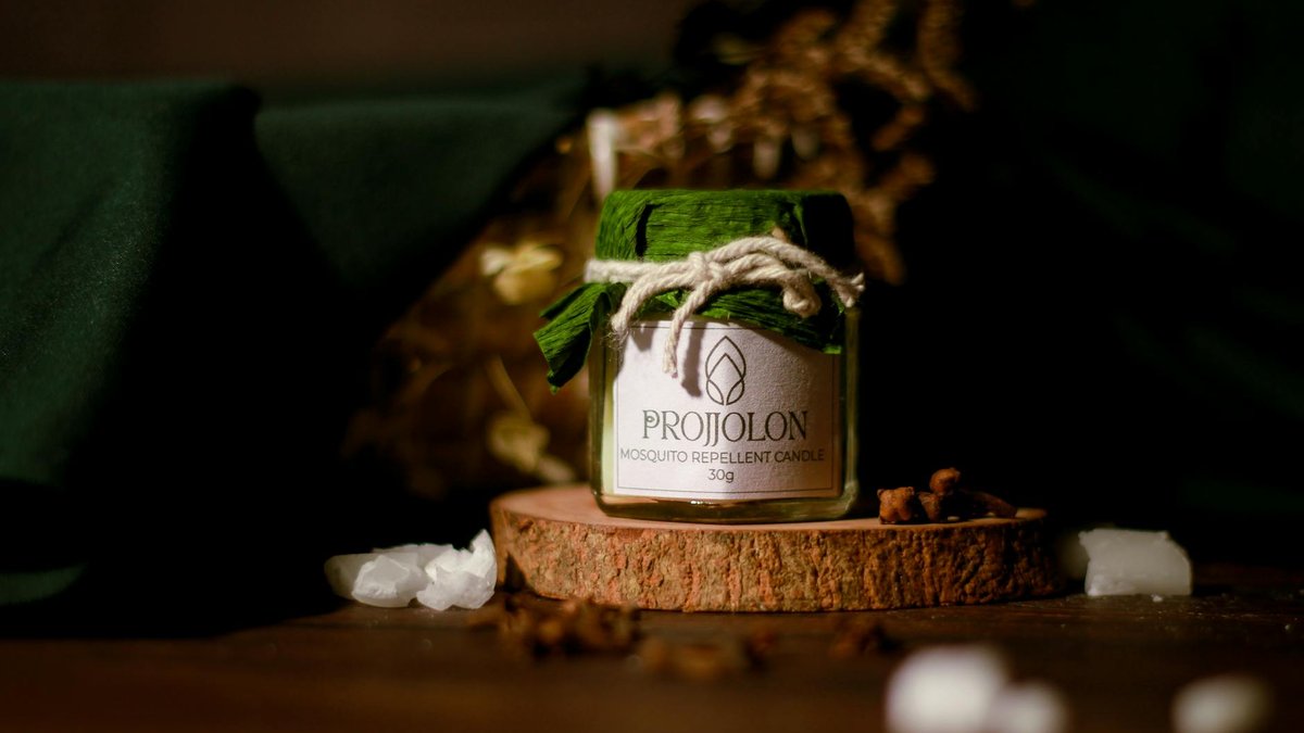 cinnamon insect repellent