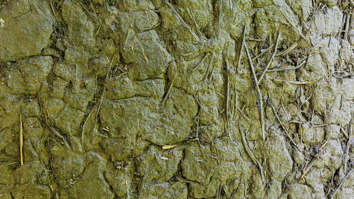 compacted soil texture