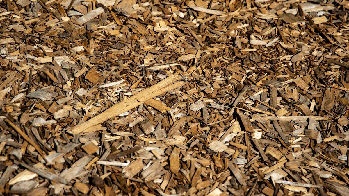 mulching soil surface