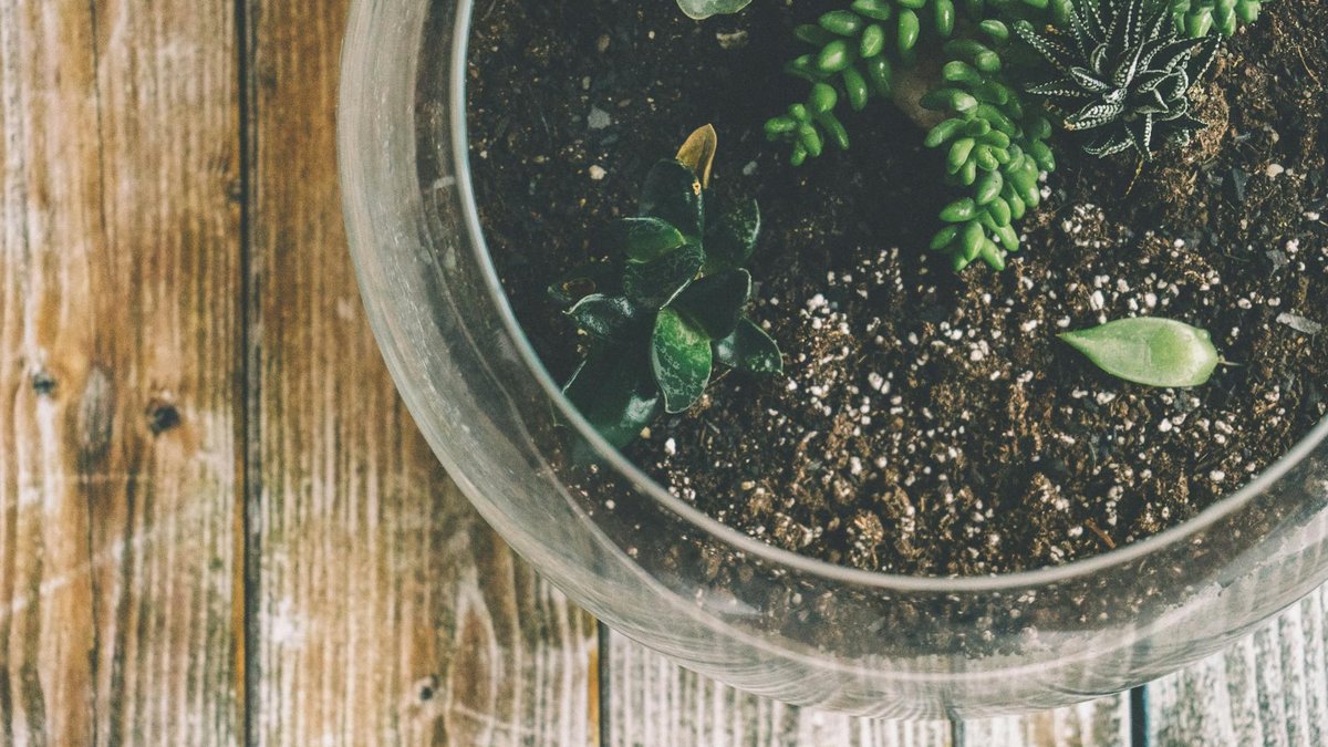 perlite soil mix