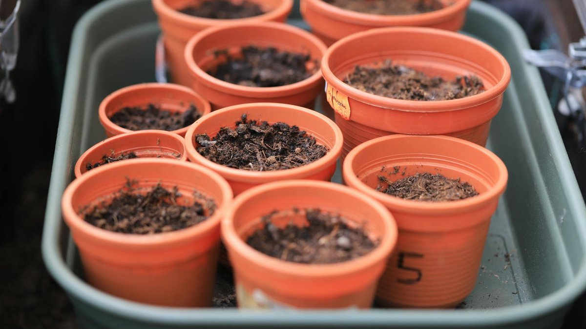 potting mix ingredients