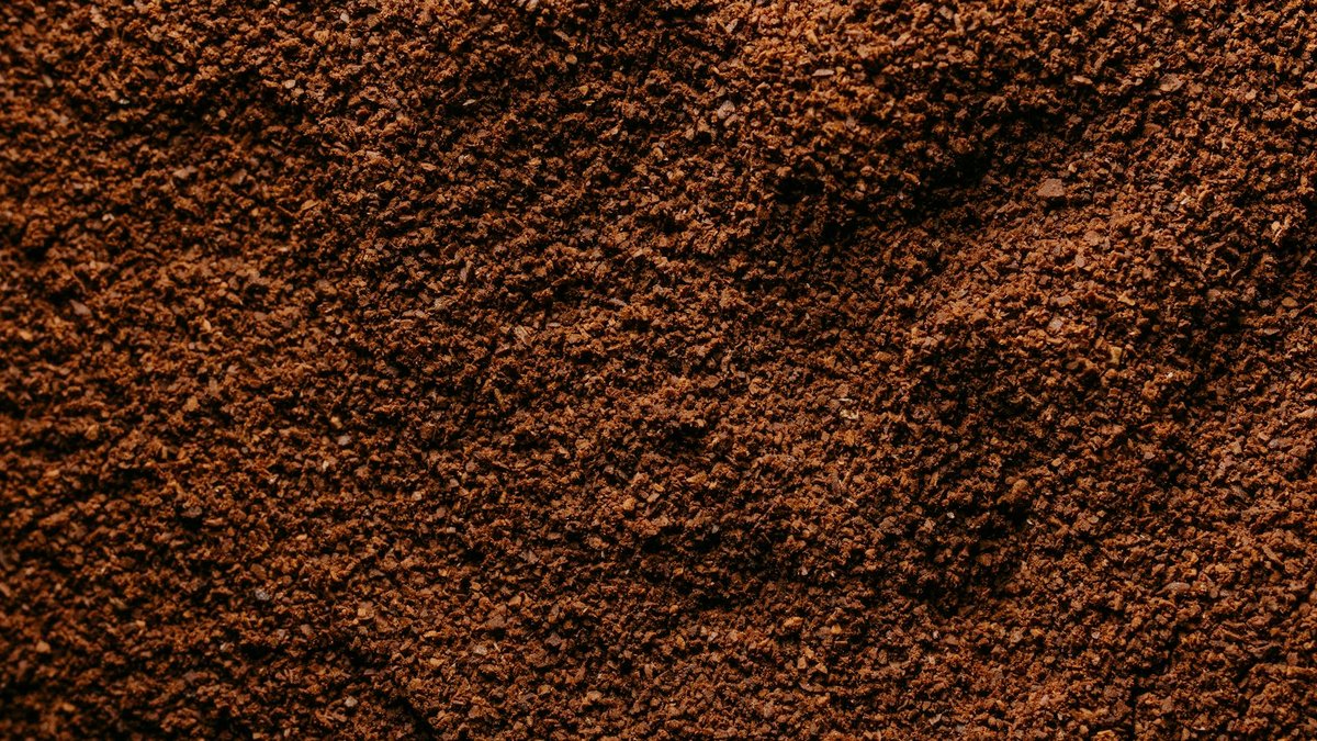 coffee grounds soil