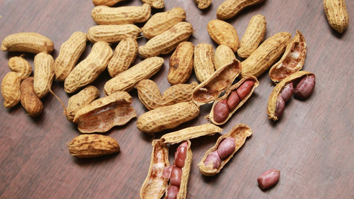 arachis hypogaea