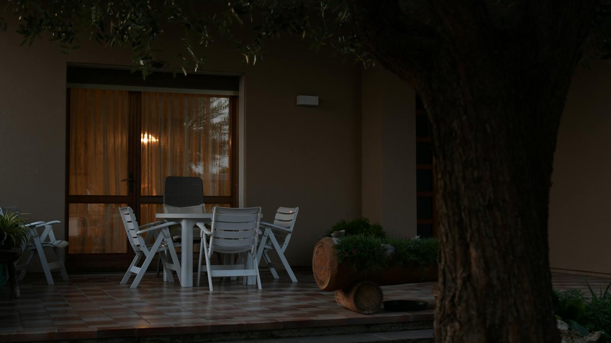 patio tree