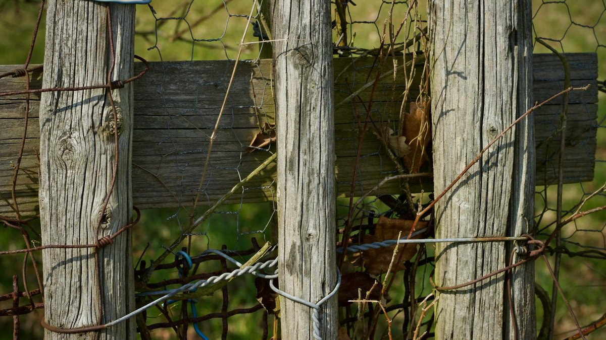 fence