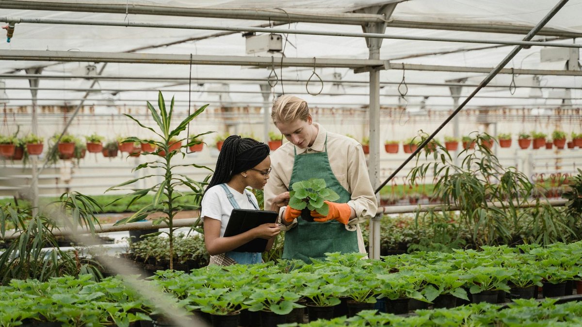 plant inspection