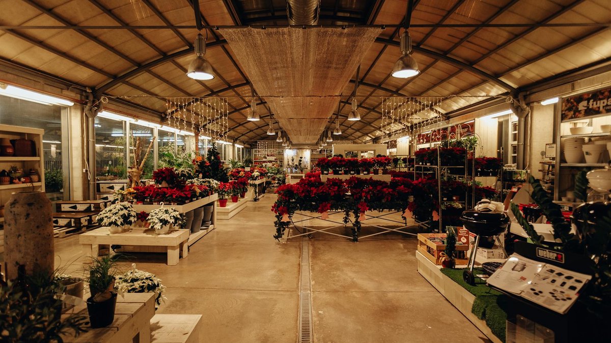 seasonal plant sale
