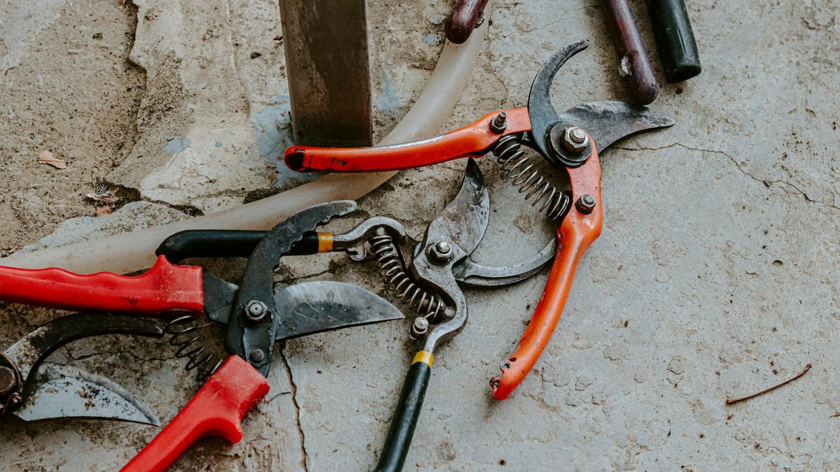 pruning tools