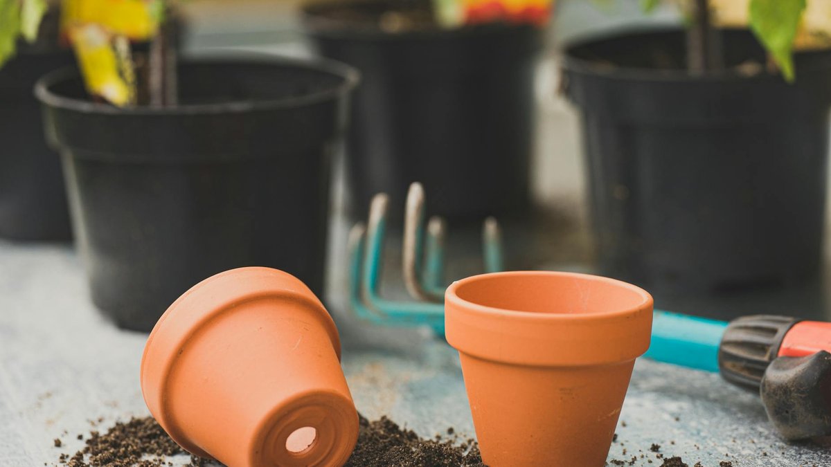 terracotta pot drainage