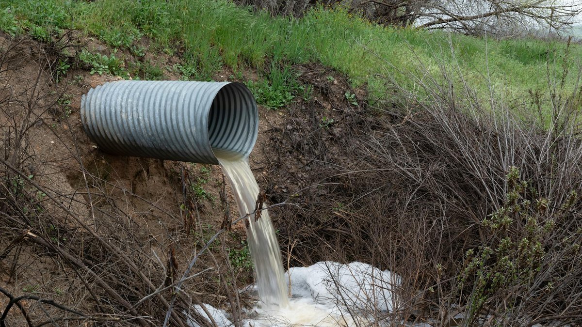 well-draining soil