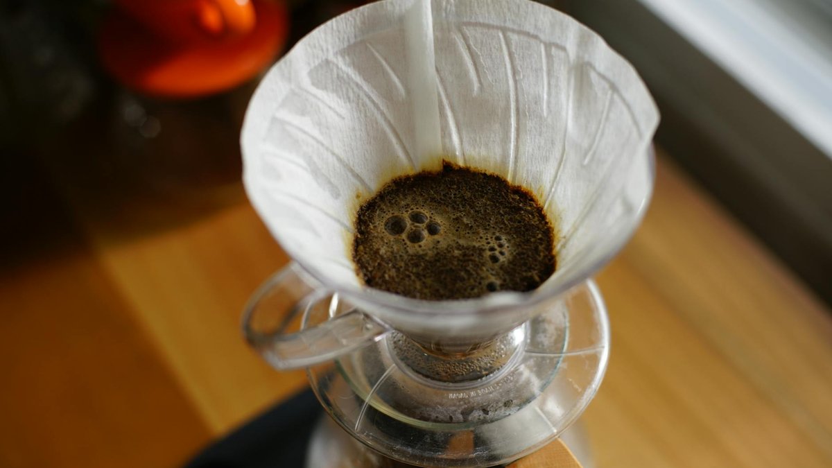 coffee filter roots