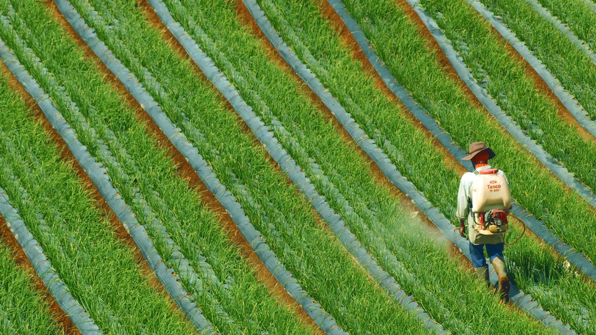 white vinegar herbicide