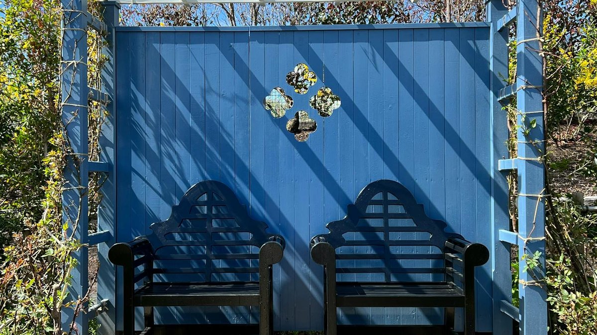 wooden pergola climbing plants
