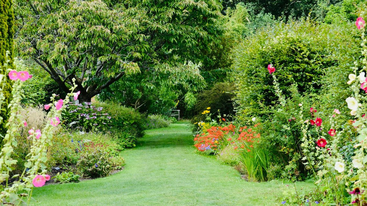 garden borders