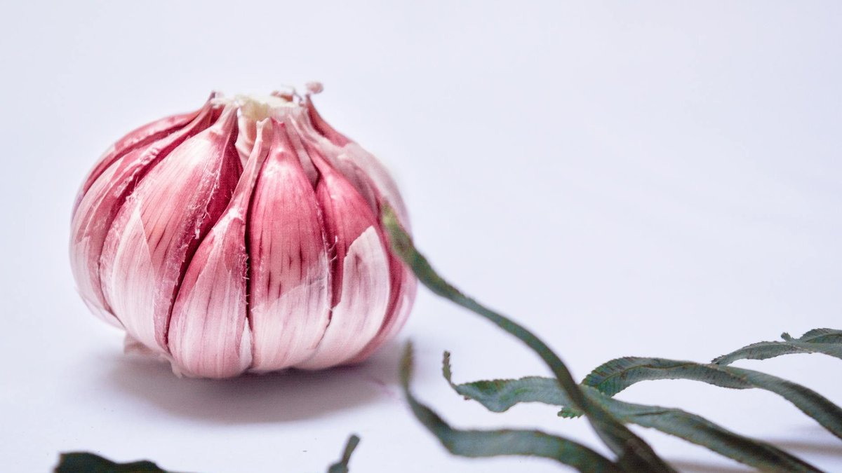 garlic weed