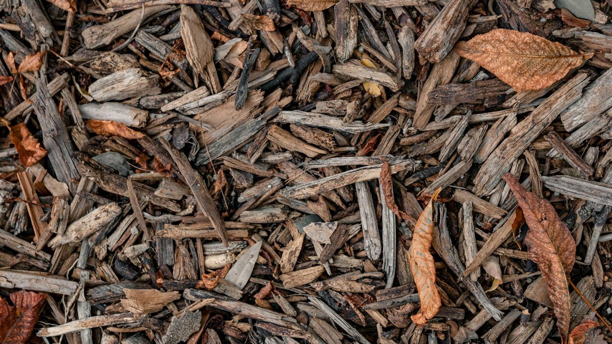 composting mulch soil