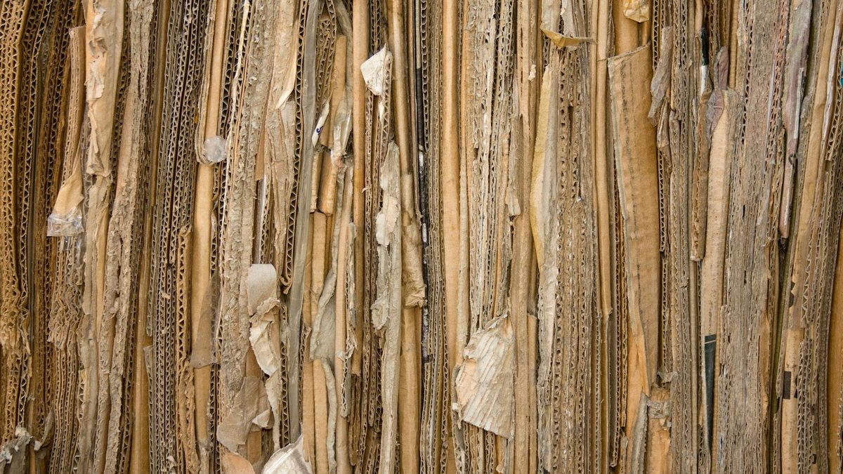 cardboard soil covering