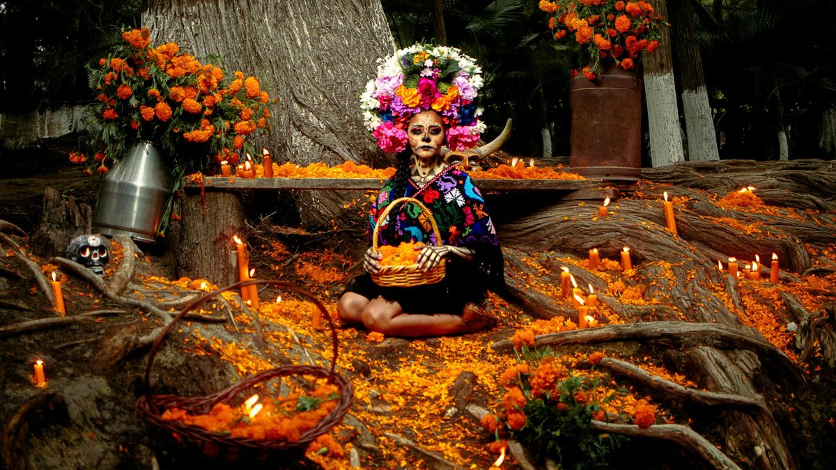 marigold roots
