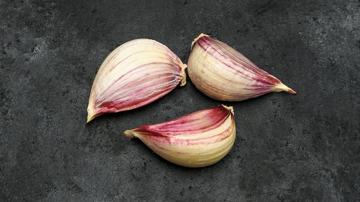 garlic repellent insects