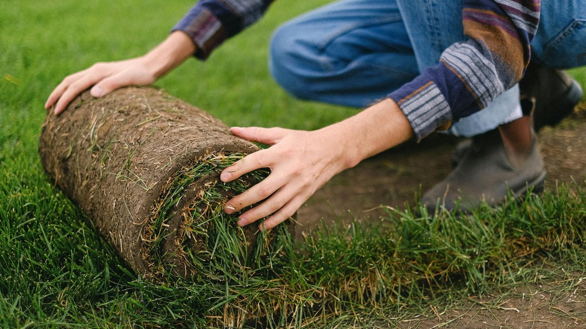 lawn preparation