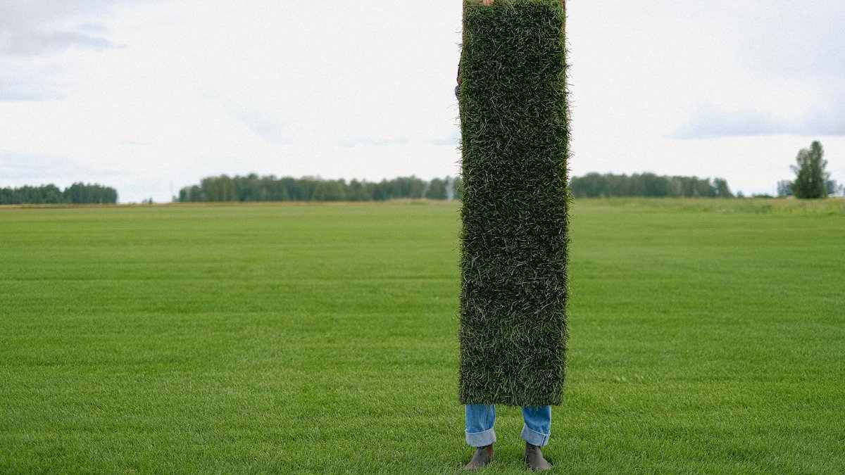 sod cutter