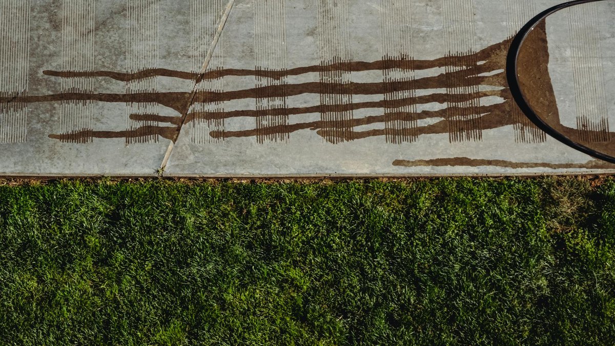 grass rhizome border