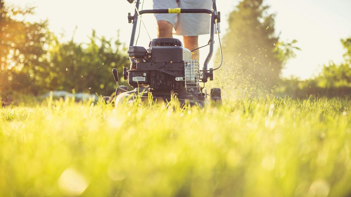 spring lawn care