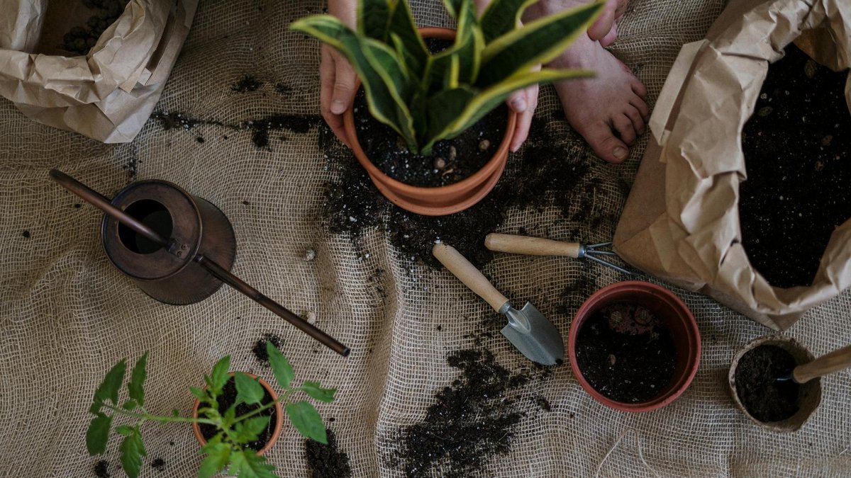 gardening alternatives