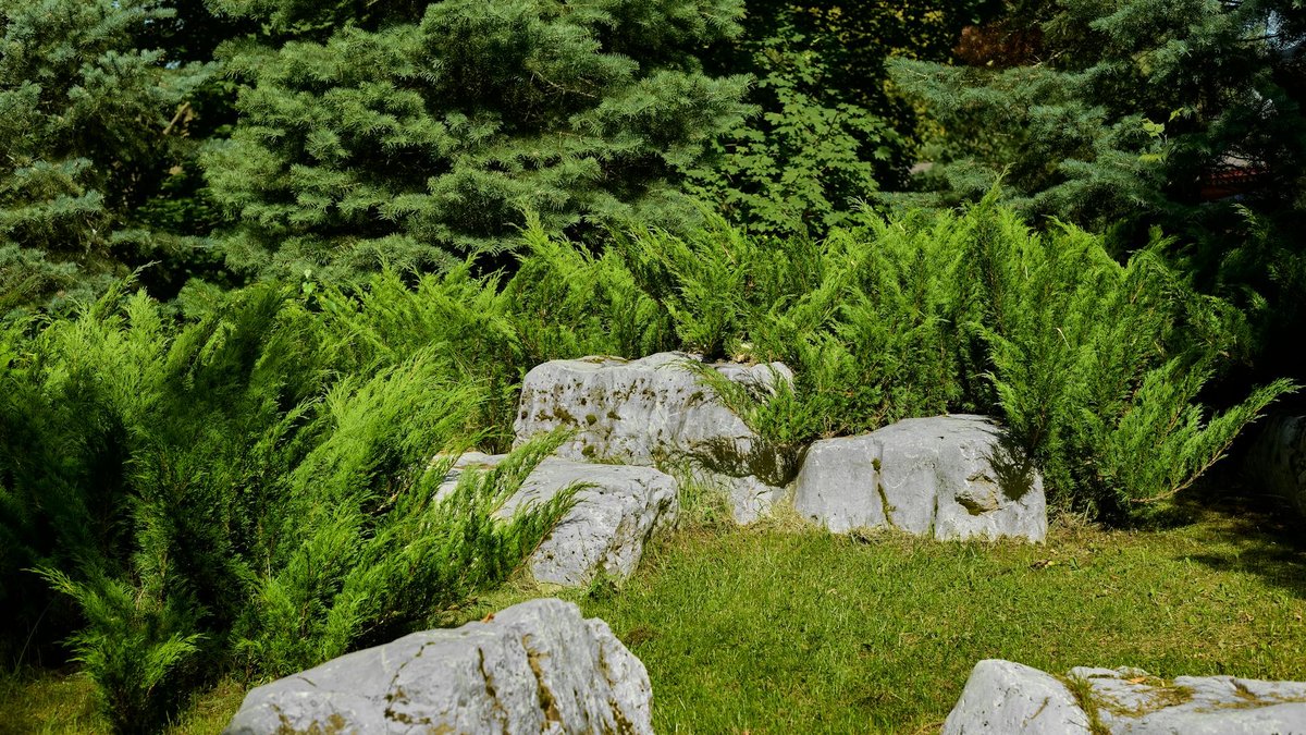 rock garden kitsch