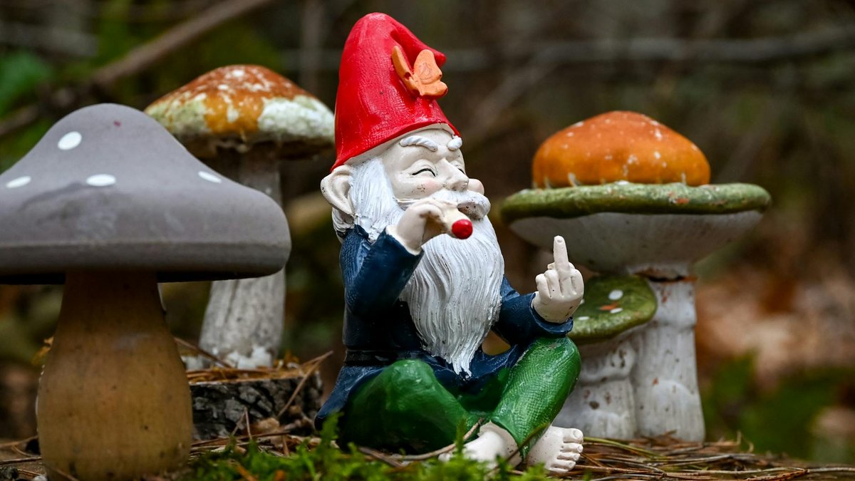 garden gnome