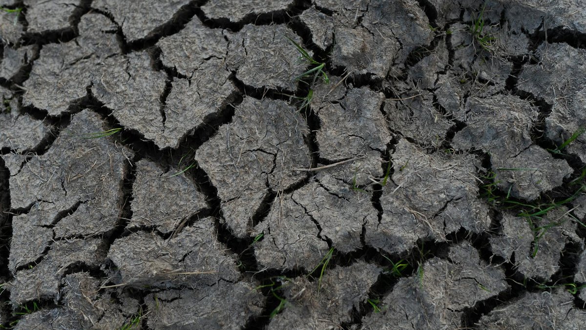 soil moisture test