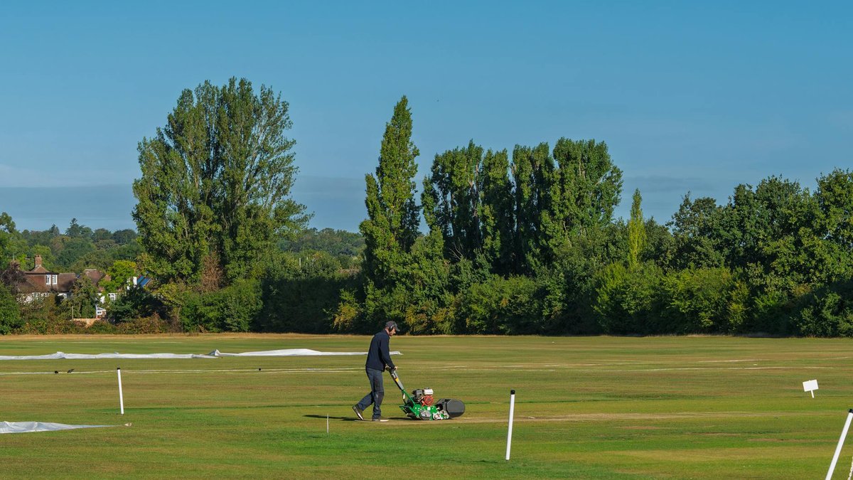 scarification lawn