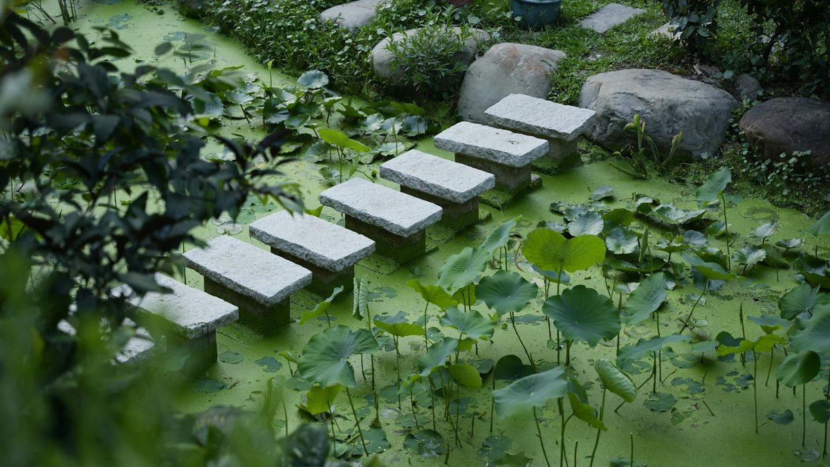 stepping stone path