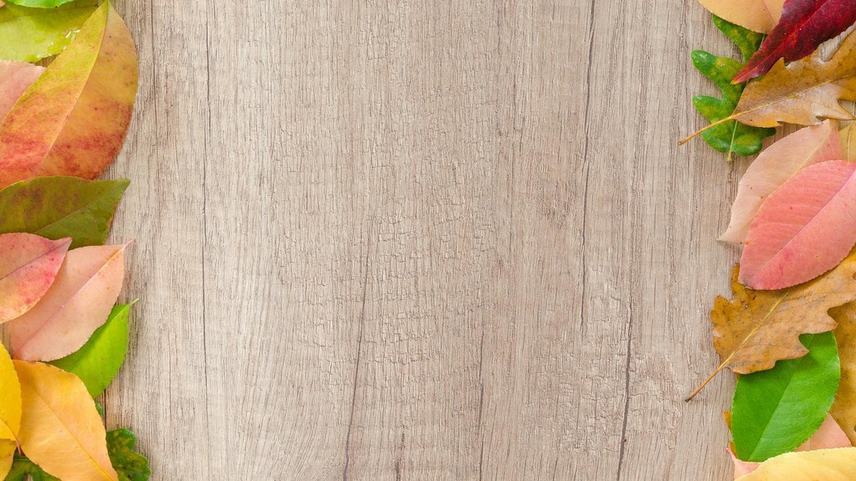 treated wood border
