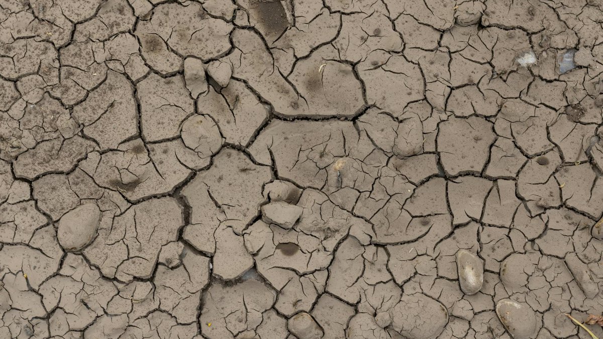 dry river bed