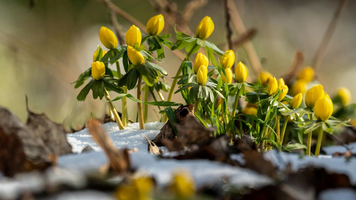 spring temperature