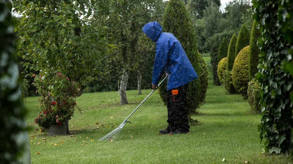 garden rake