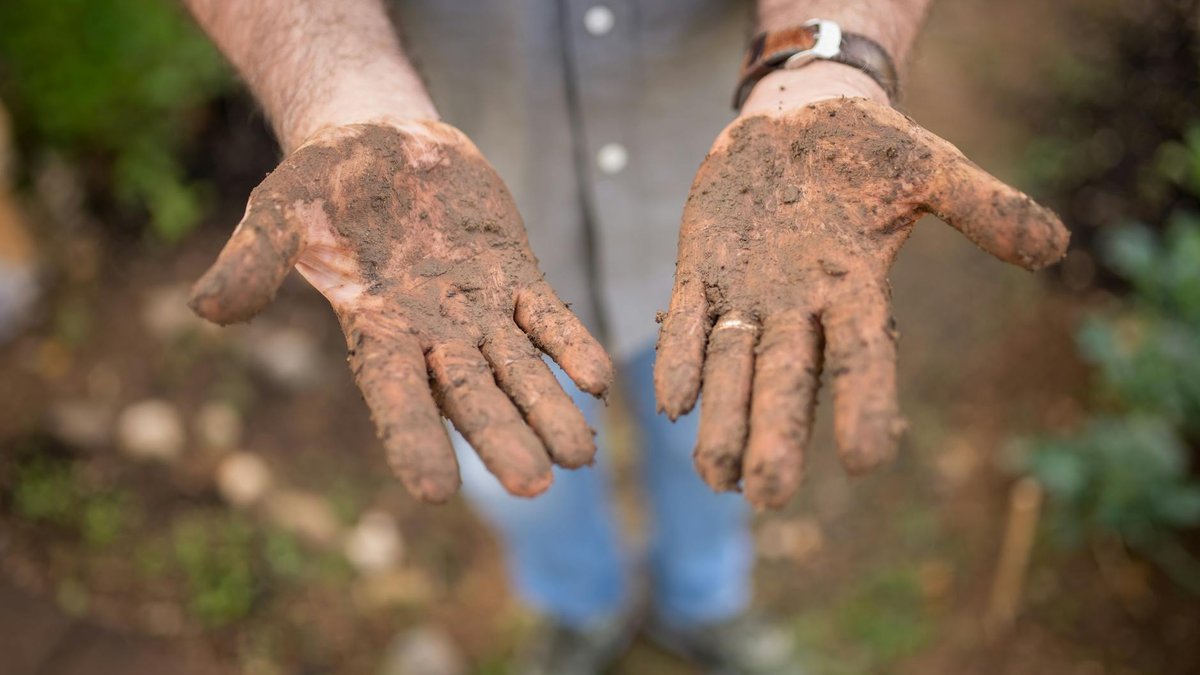 soil test garden