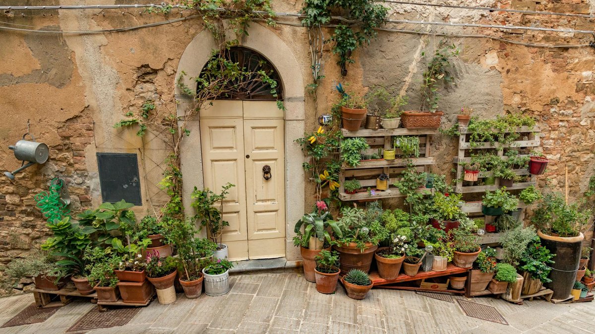 pots plants door