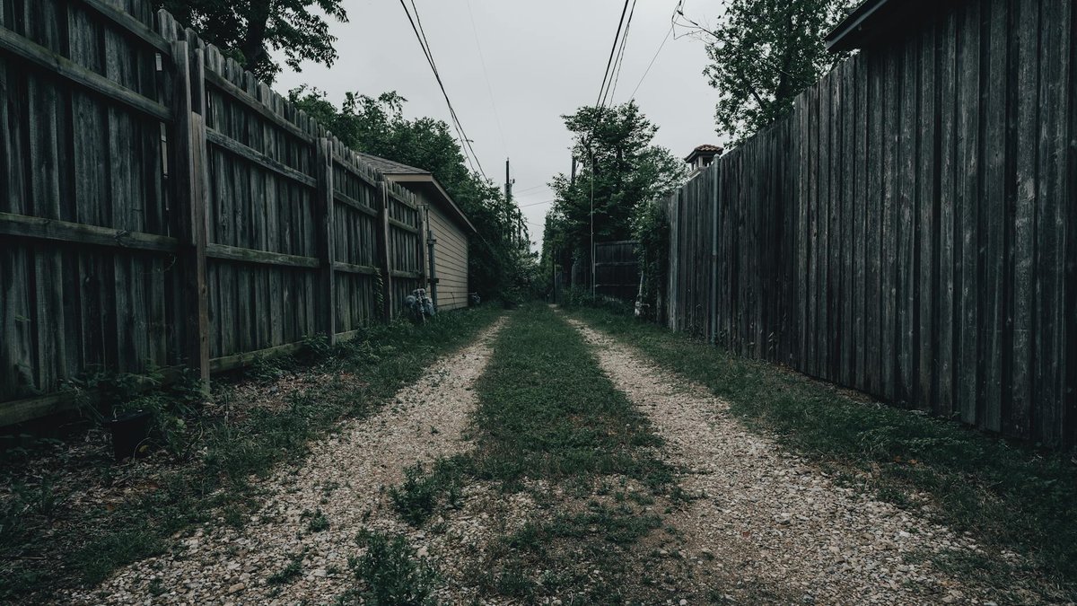gravel path weeds