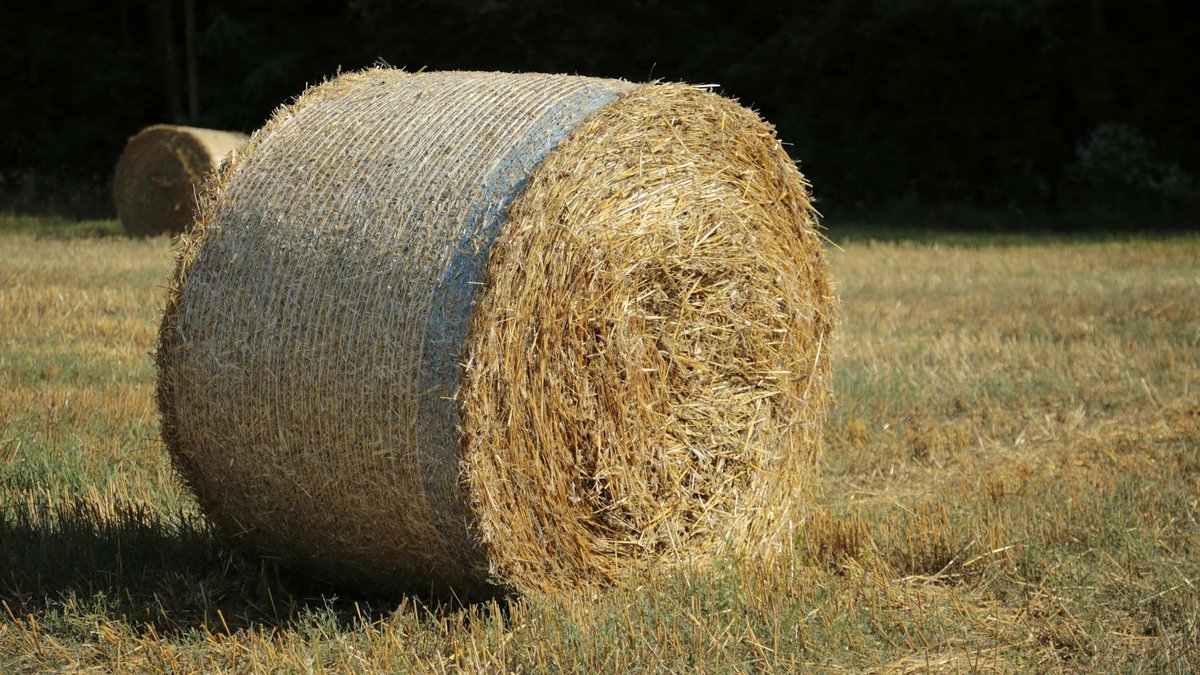 straw bale garden