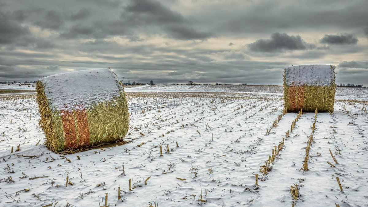 conditioning straw bale