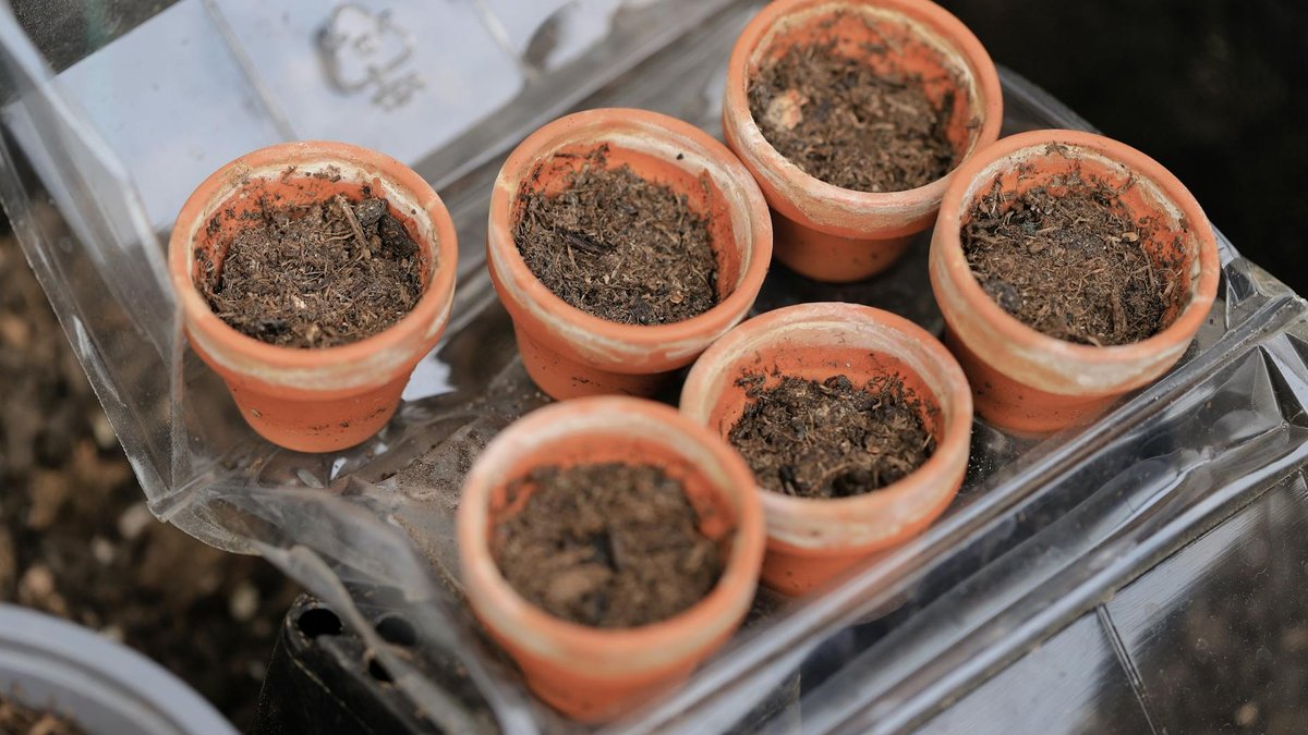 soaking terracotta pot