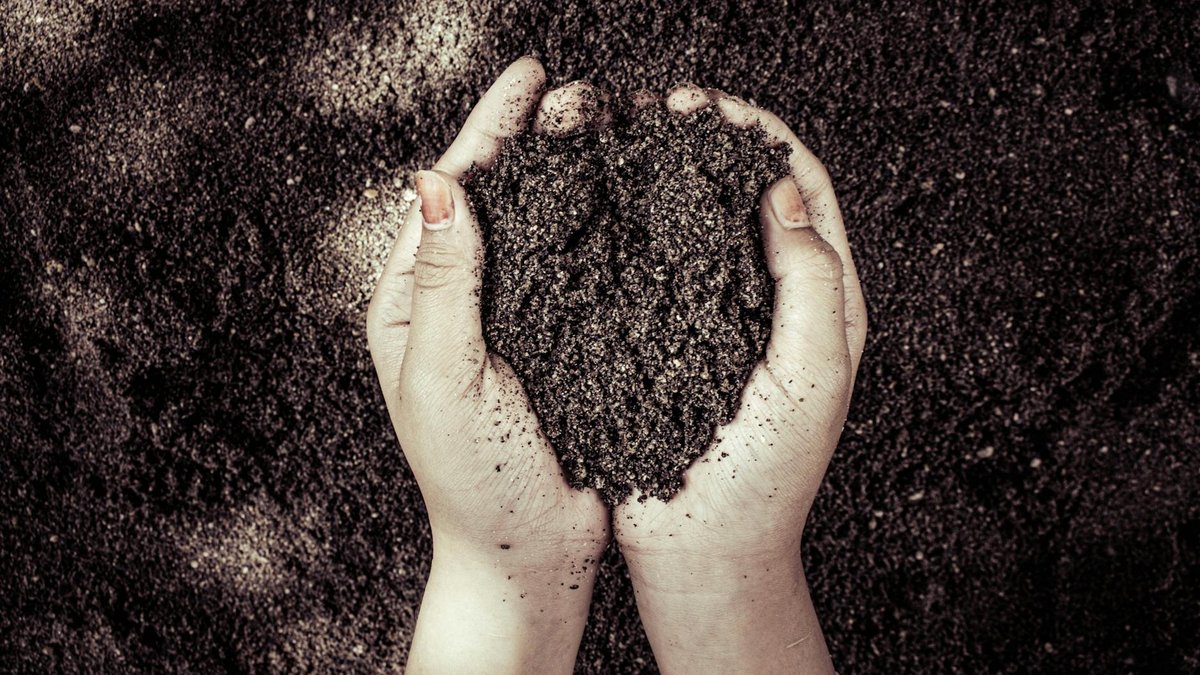 finger test soil