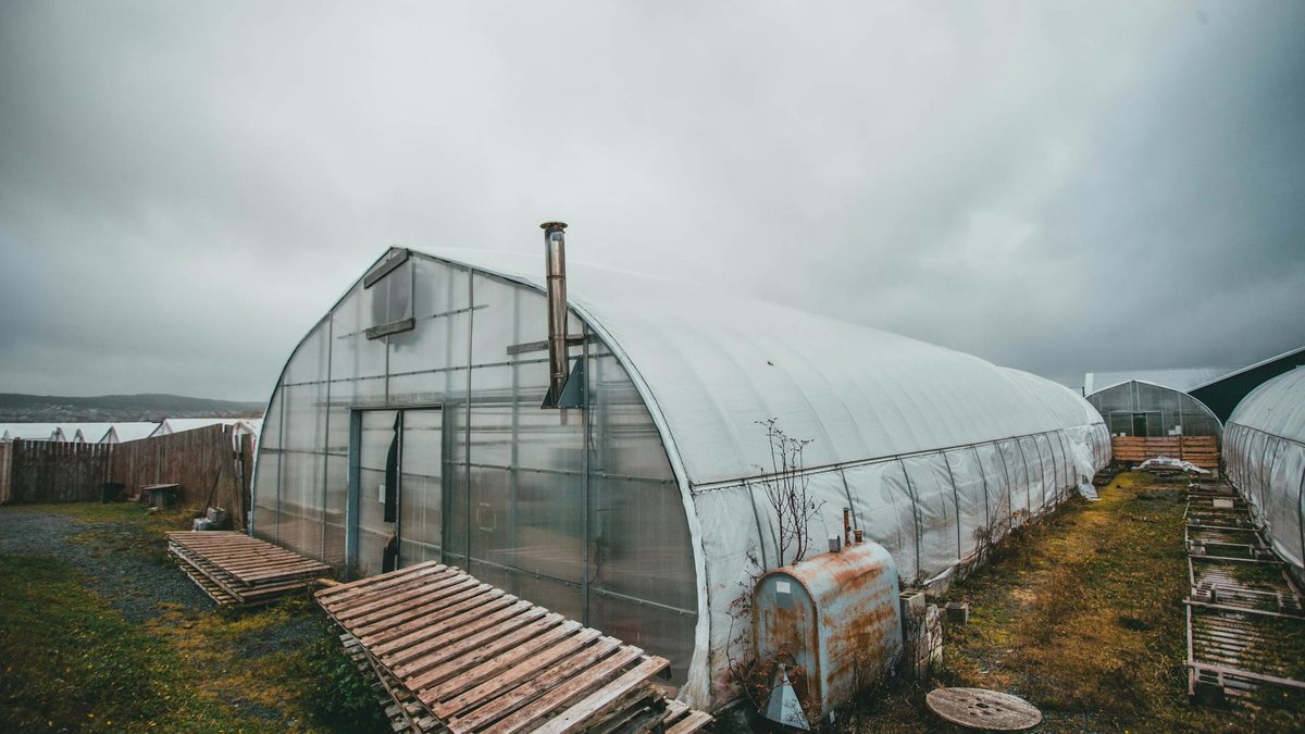 lean-to greenhouse
